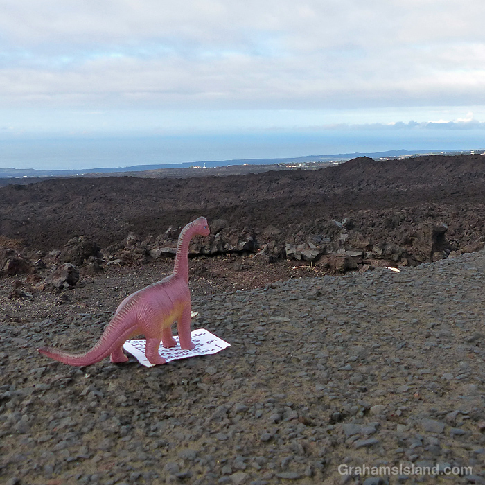 A dinosaur looks out over Kau, Hawaii