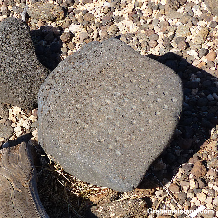 A Konane game board at Lapakahi, Hawaii