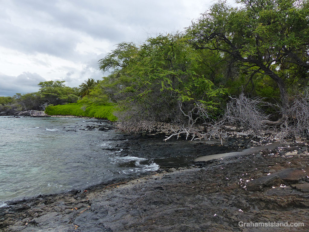 The trail along the South Kohala coast in Hawaii