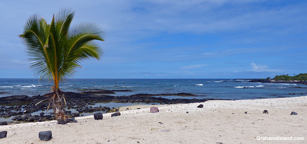 Surfers wait offshore at the Beach at Kohanaiki