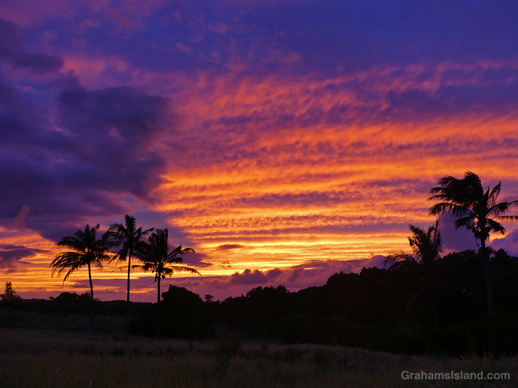 Sunset and palm trees in Hawaii.
