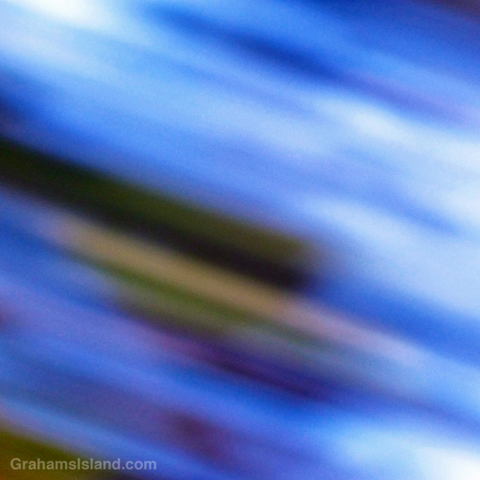 A blue blur
