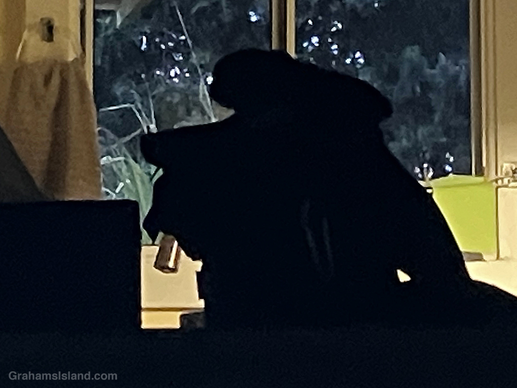 An abstract silhouette