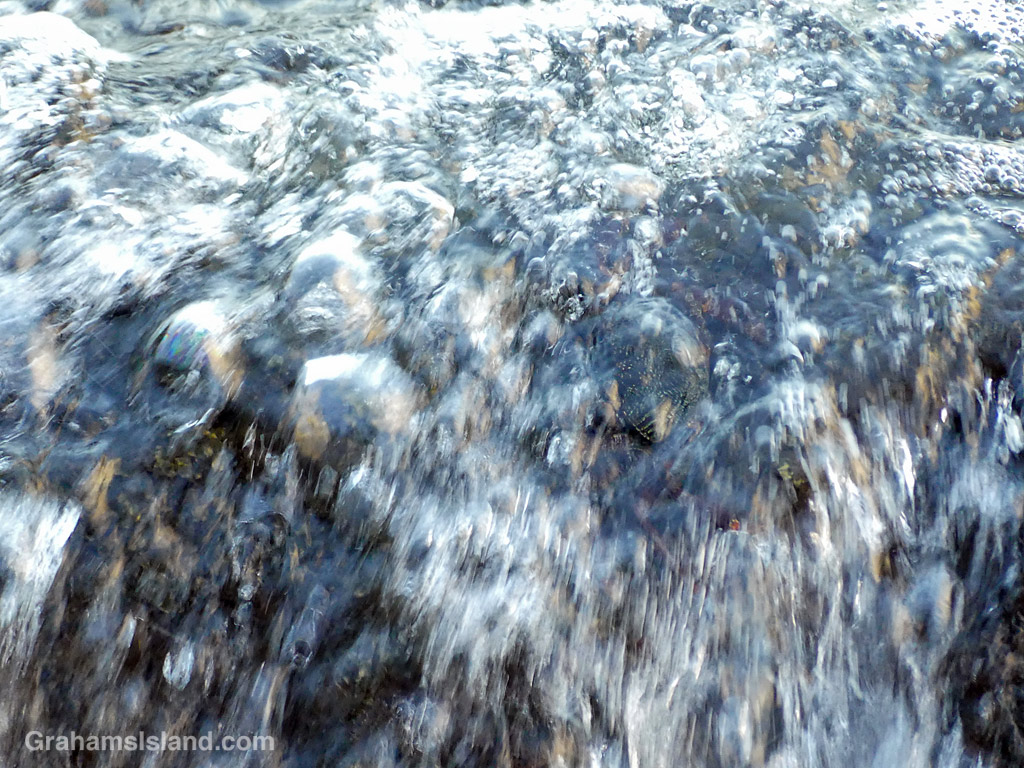 An Aama crab is washed by a wave in Hawaii