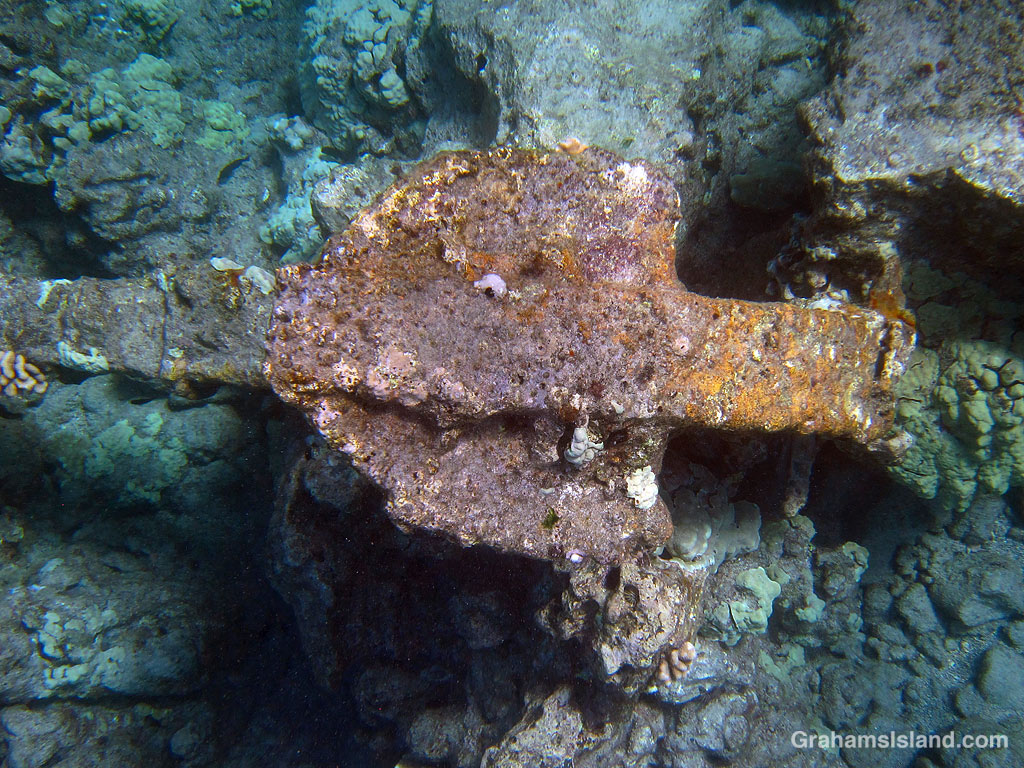 The fluke of an old anchor underwater off Hawaii