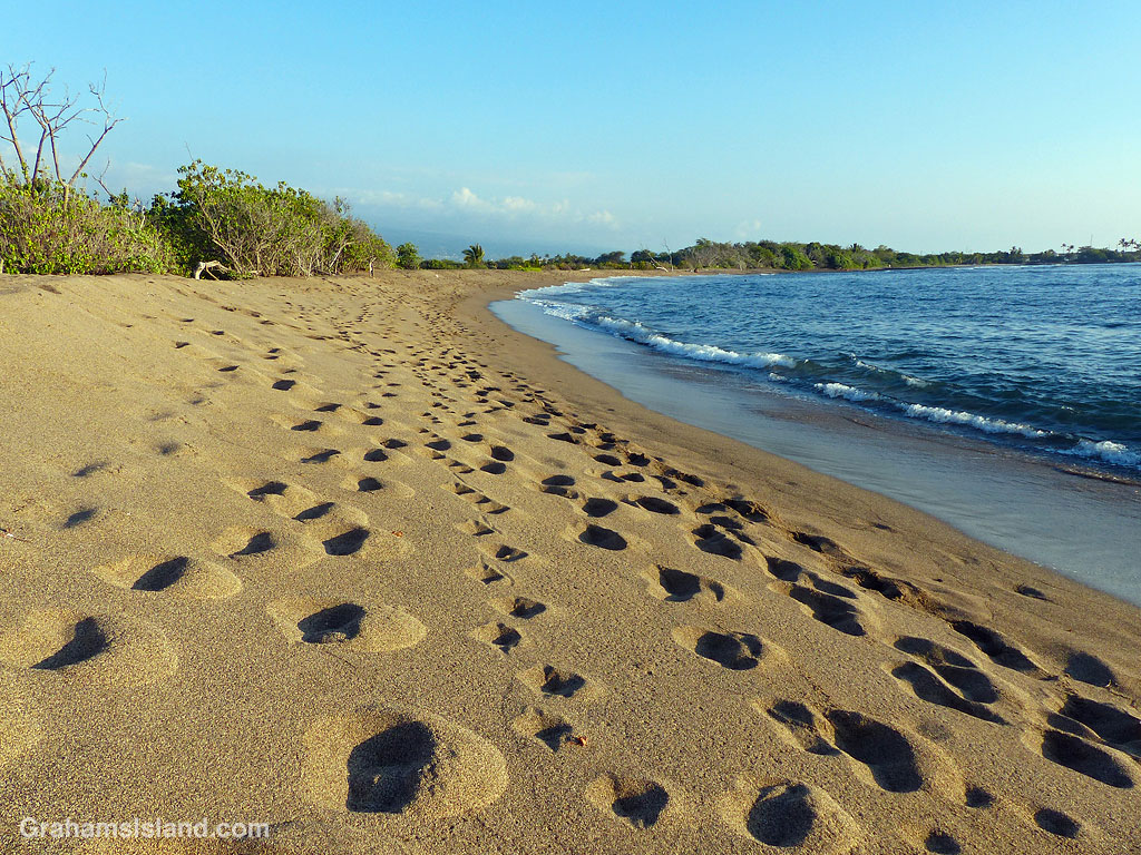 The beach at Kaloko Honokohau on the Big Island, Hawaii