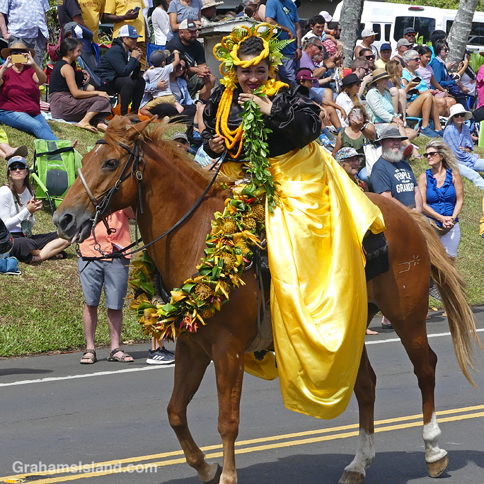 A rider representing Oahu at the King Kamehameha day parade in Kapaau, Hawaii