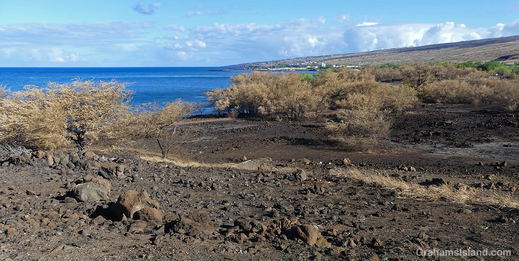 Land burned by a brush fire near Spencer Beach Park, Hawaii