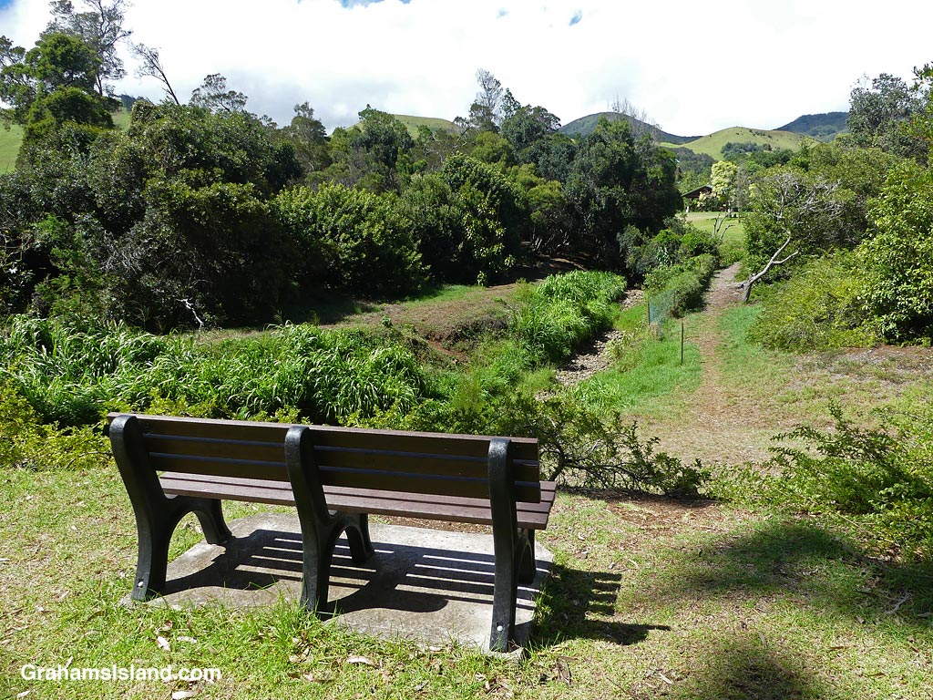 A bench at Waimea Nature Park