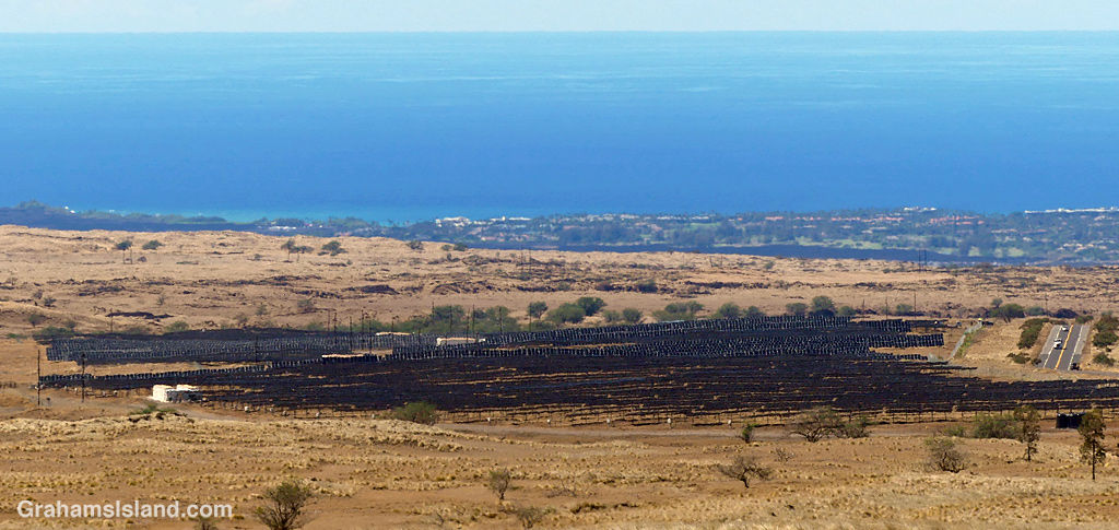 The solar farm at Waikoloa Hawaii