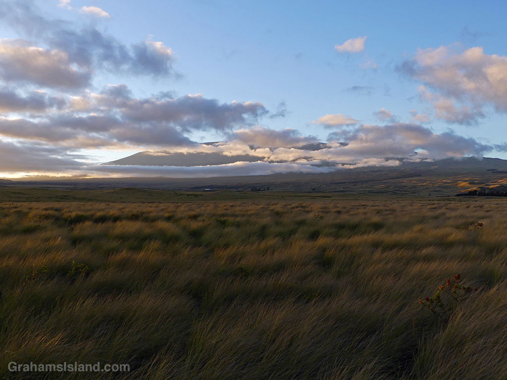 A view of Mauna Kea at Sunrise