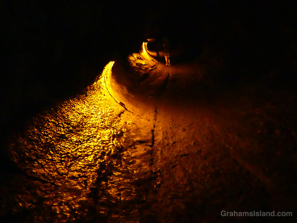 Inside Thurston Lava Tube in Hawaii Volcanoes National Park