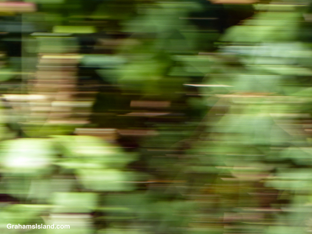 A mostly green blurred photo