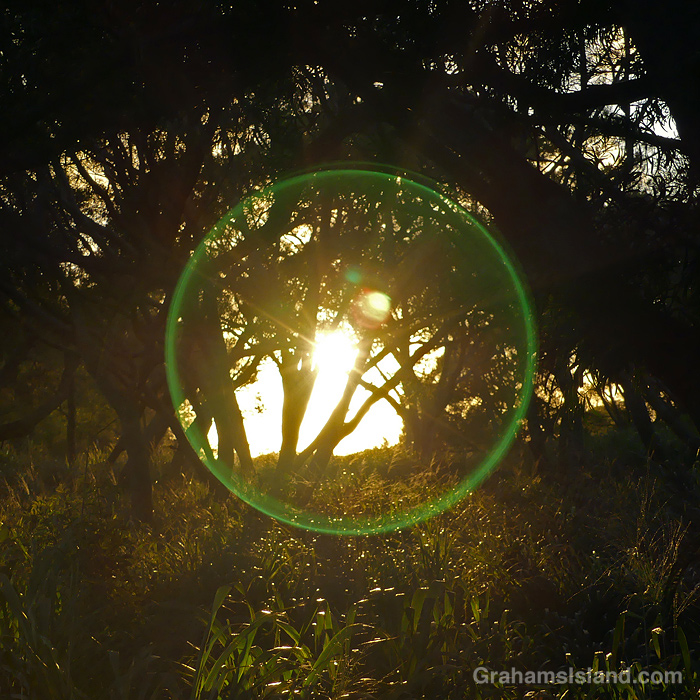 A green ring around the sun