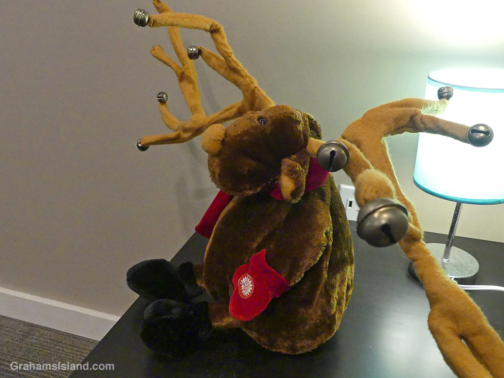 A Stuffed reindeer in a waiting room in Hawaii
