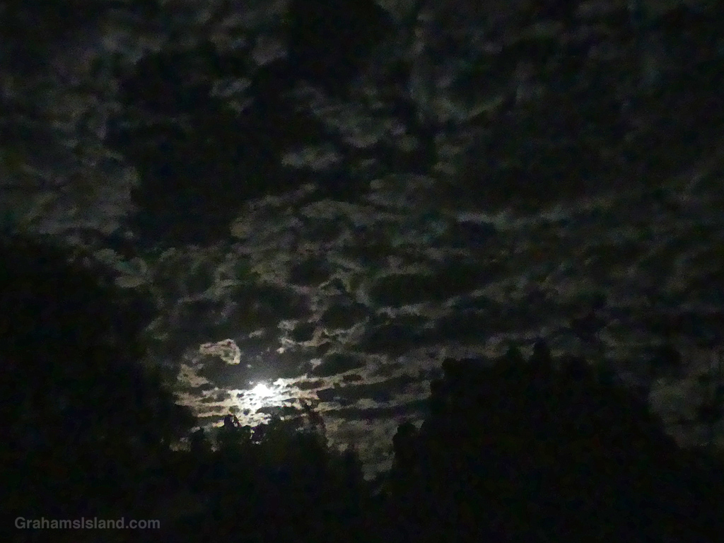 Night sky above Hawaii