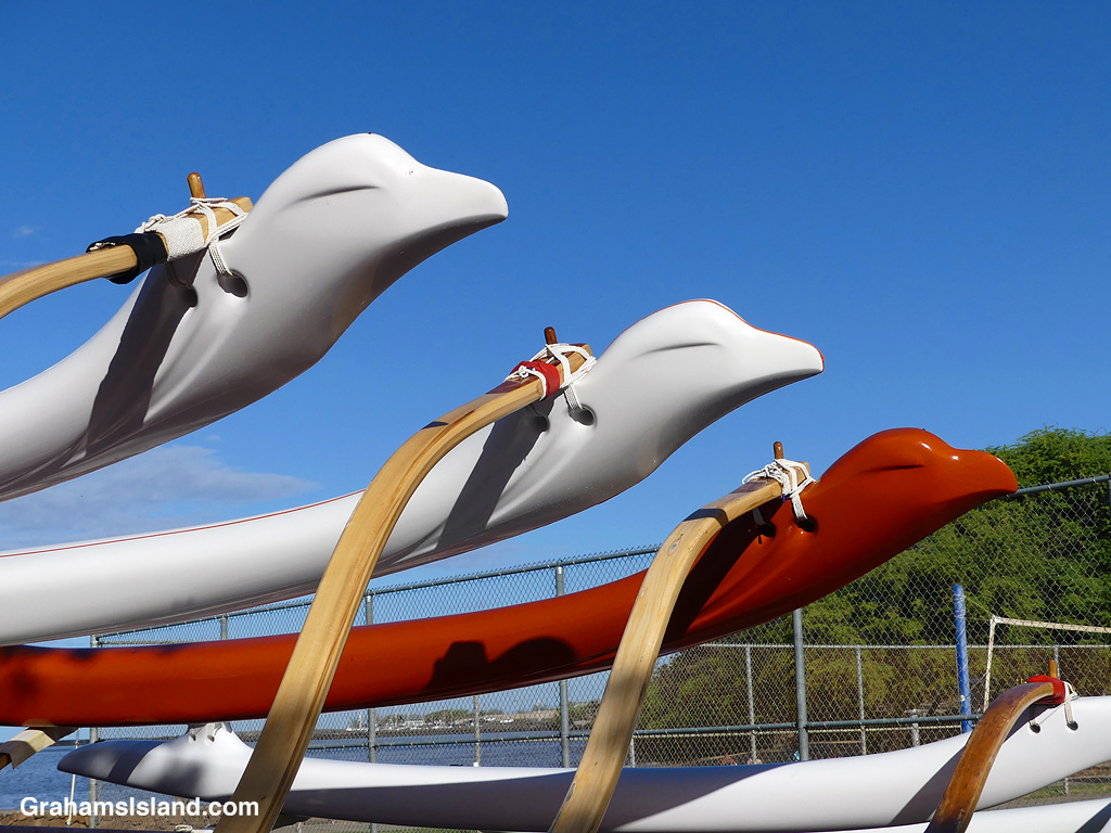 Canoe armas in Hawaii