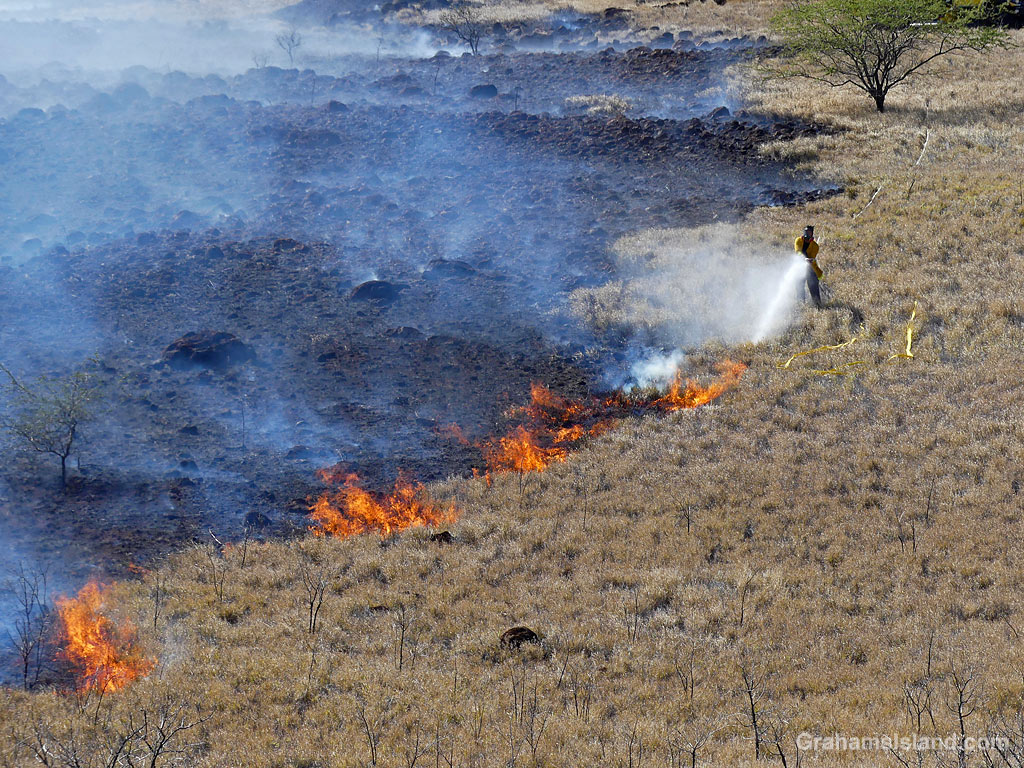 A brush fire at Lapakahi on the North Kohala coast, Hawaii
