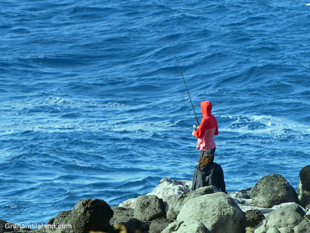 Kamehameha Day parade at Kapaau in Hawaii