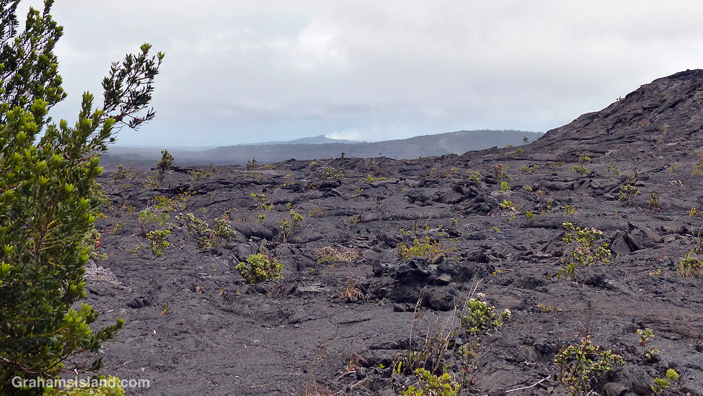 A distant view of Pu'u O'o vent from the Napau Trail at Hawaii Volcanoes National Park