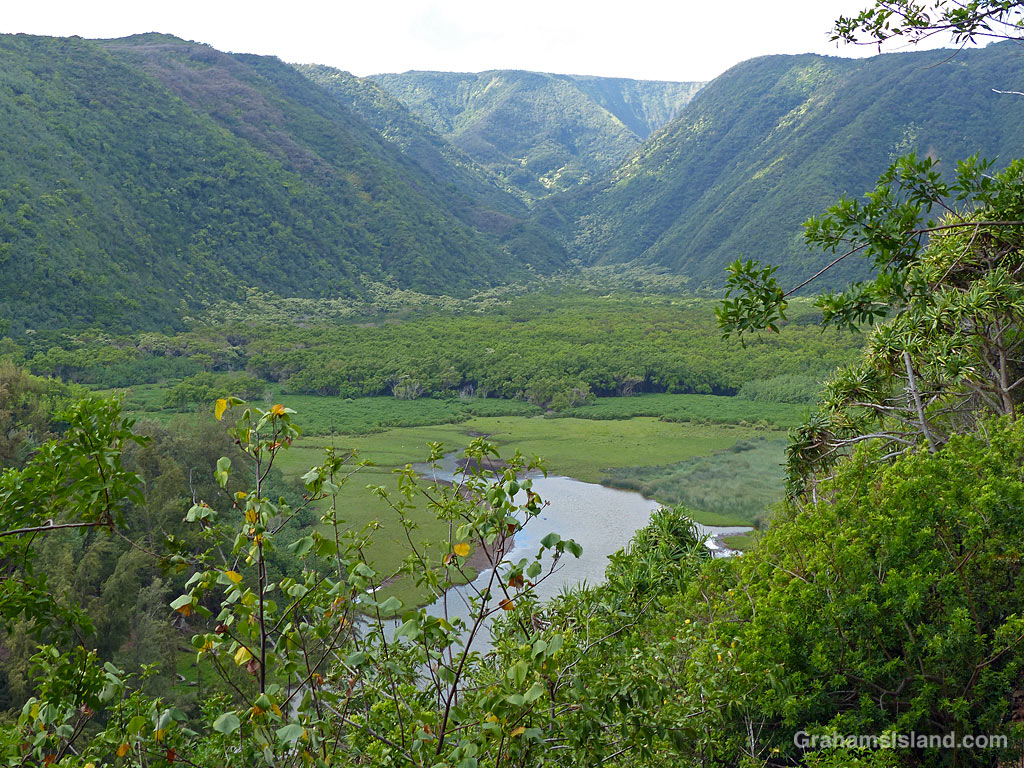 A view of Pololu Valley in Hawaii