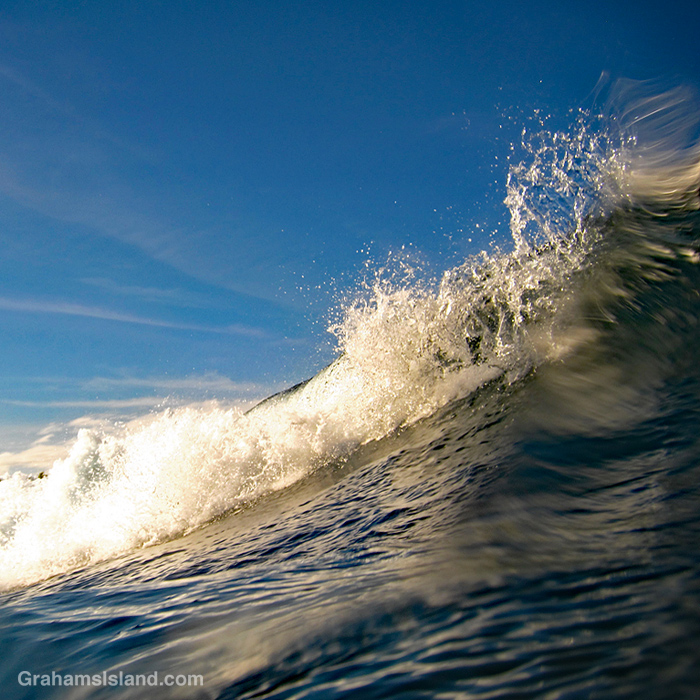 A breaking wave in Hawaii