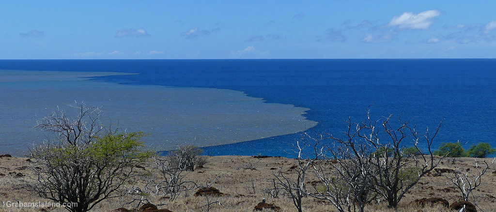 Muddy waters, from flash flooding, advance into the blue Pacific Ocean
