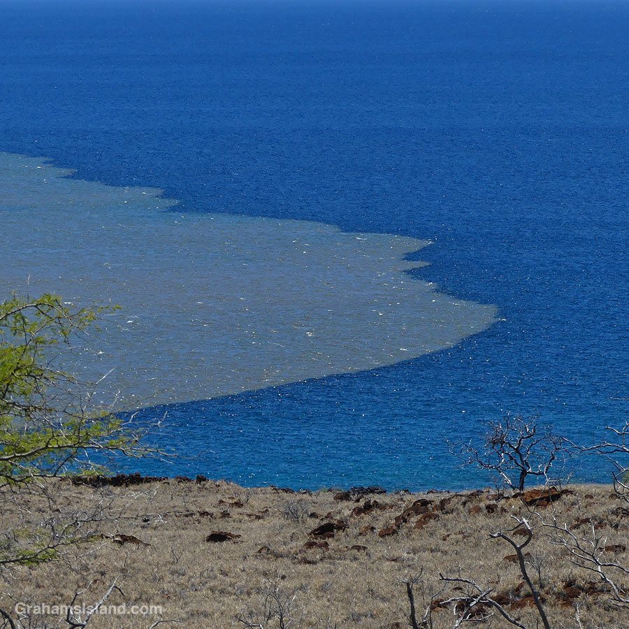 Muddy waters, from flash flooding, advance into the blue Pacific Ocean