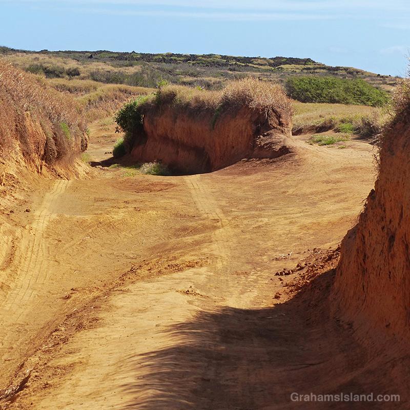 Sunken roads at South Point Hawaii