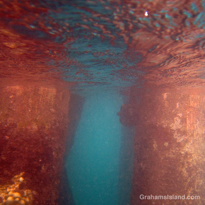 Encrusted pilings in Kawaihae Harbor, Hawaii