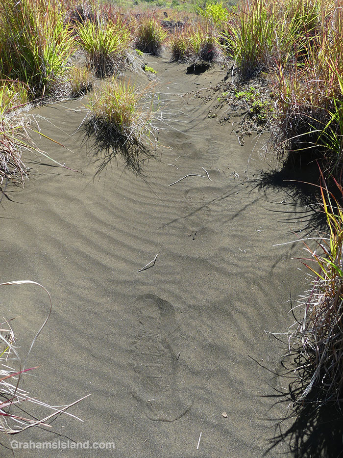 Footprints in the sand on the Kau Desert Trail in Hawaii