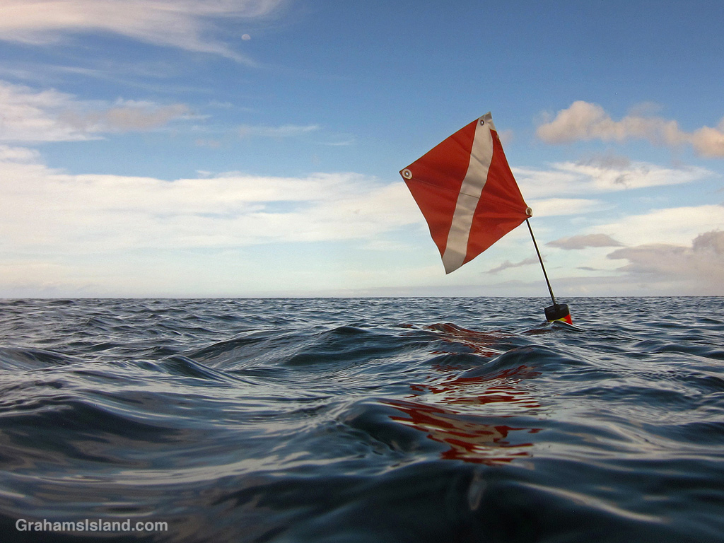 A diver down flag in the waters off Hawaii