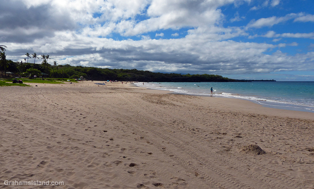 The beach at Hapuna Beach State Park in Hawaii
