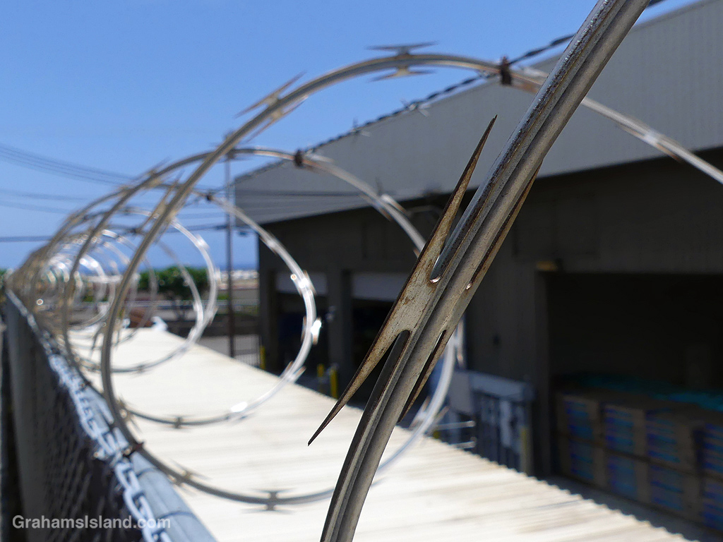 Razor wire atop a wall in Kailua Kona, Hawaii