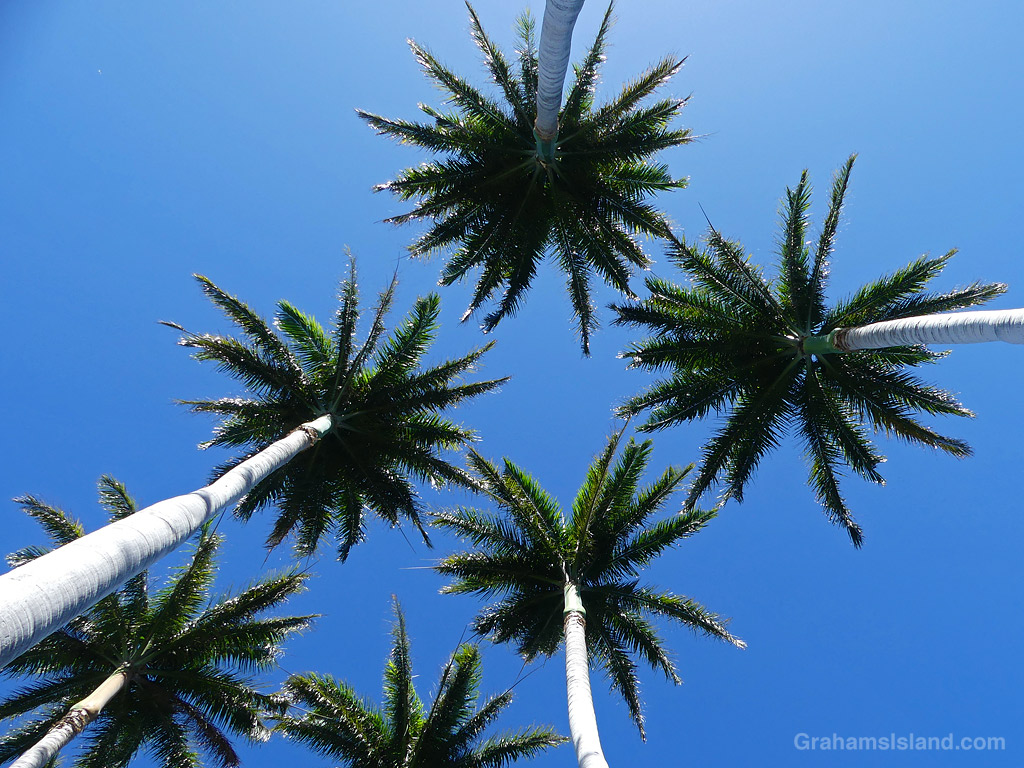 Royal Palms at Hapuna Resort, Hawaii