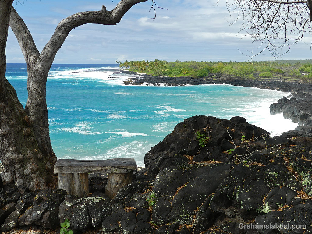 A bench on 1871 trail on the South Kona coast in Hawaii.