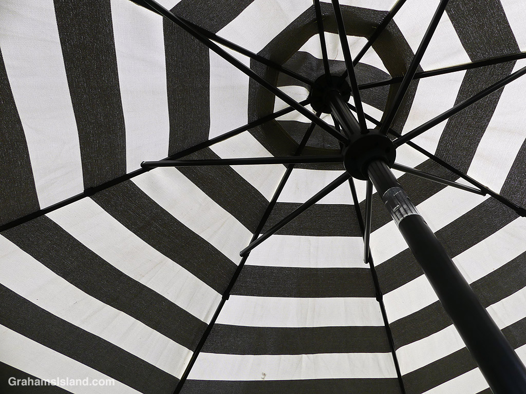A black and white patio parasol in Hawaii