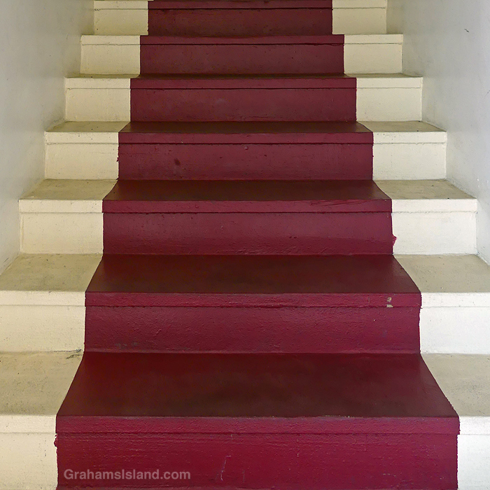 Seven Purple Stairs in Hawaii