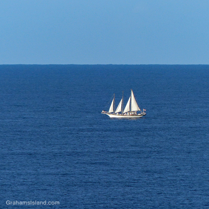 The SSV Makani Olu sailing off the Kohala coast in Hawaii
