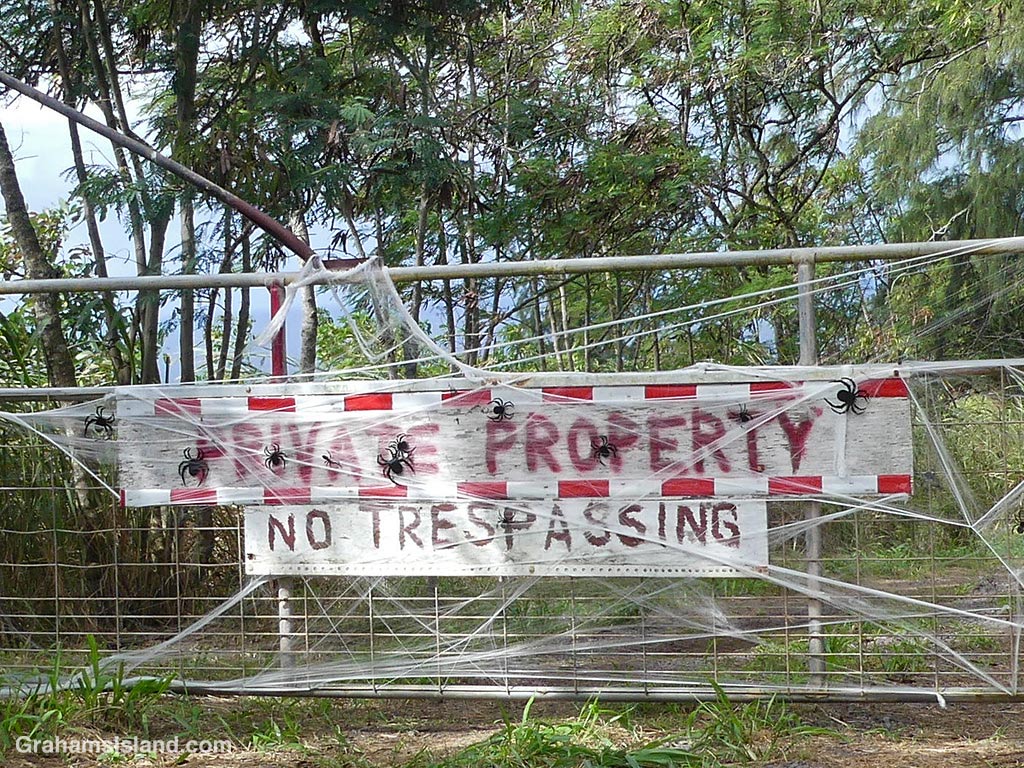 Halloween decorations near Hawi, Hawaii