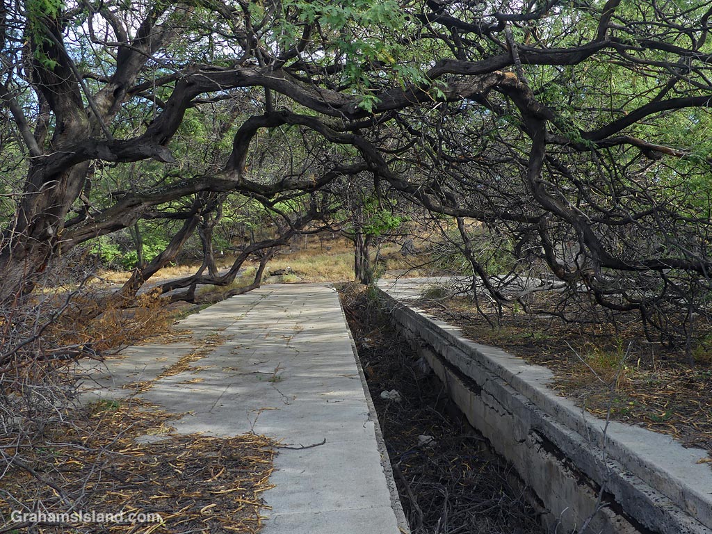 Remains of the old sugar port at Mahukona, Hawaii