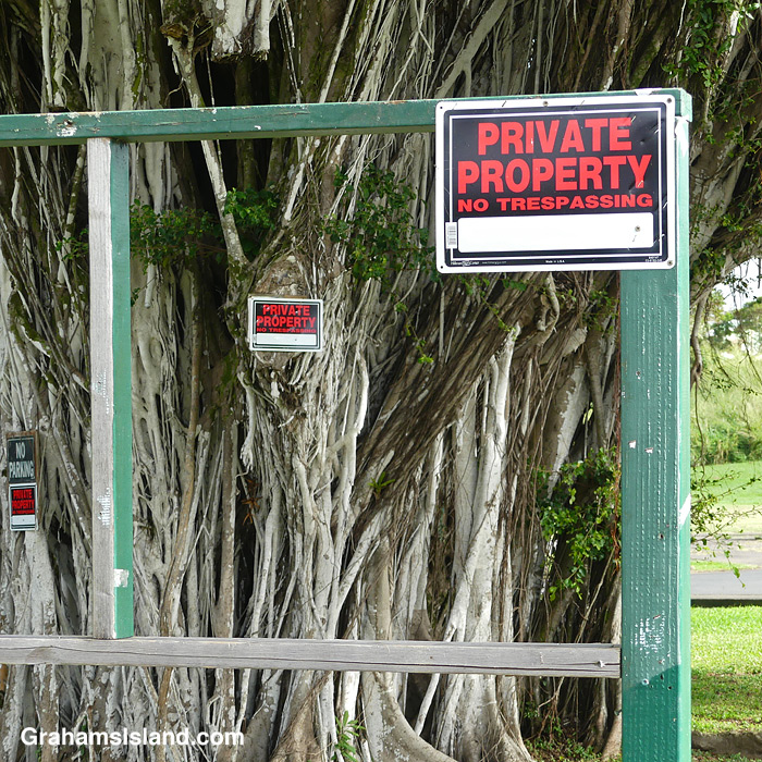 Signs at the banyan trees in Hawi, Hawaii