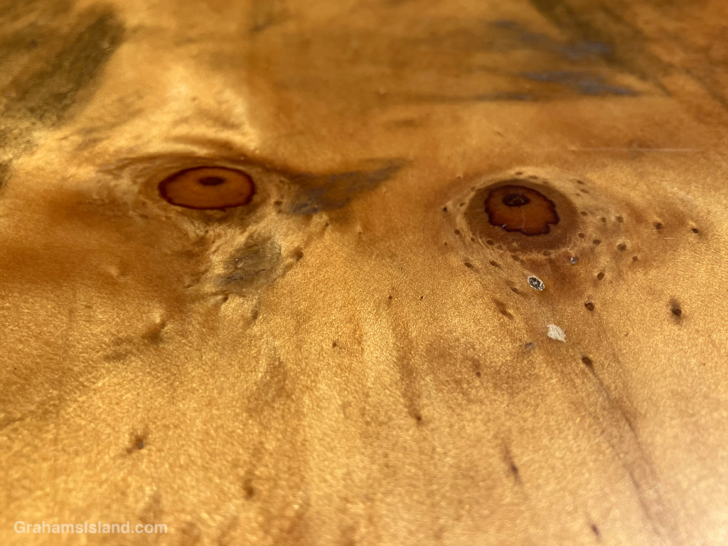 A wood counter that looks like the face of a lion in Hawaii