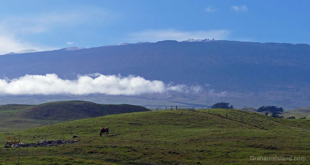 A view of Mauna Kea from the Waimea saddle in Hawaii