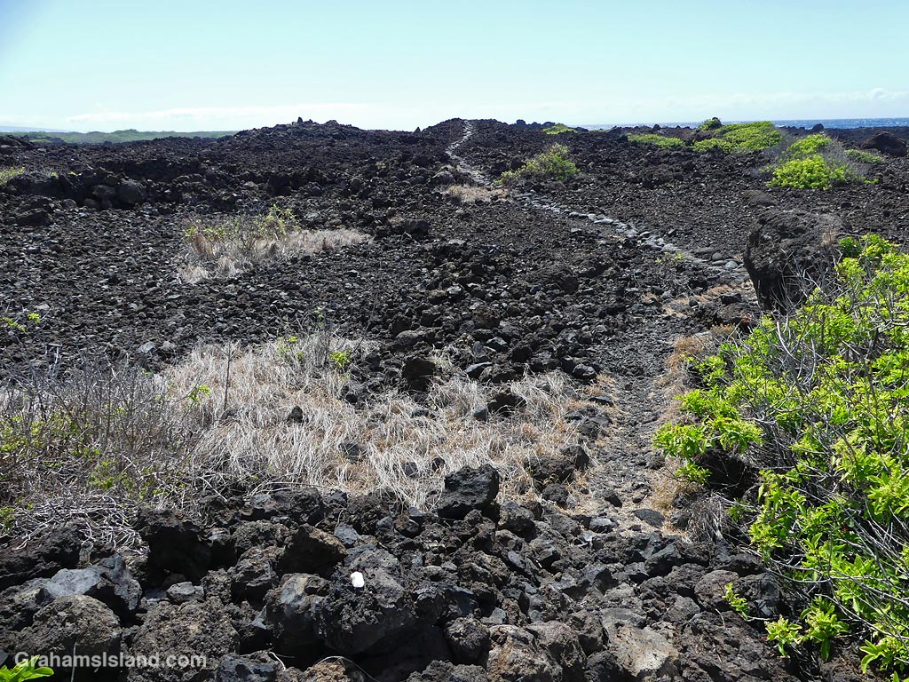 The Ala Kahakai Trail to Kamehame Beach on the Big Island Hawaii