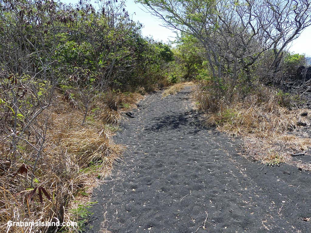 An old sandy road on the trail to Kamehame Beach on the Big Island Hawaii