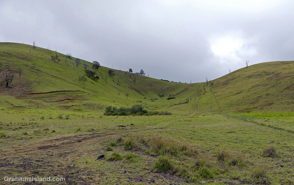 A View of Trail up Pu'u Wa'awa'a in Hawaii