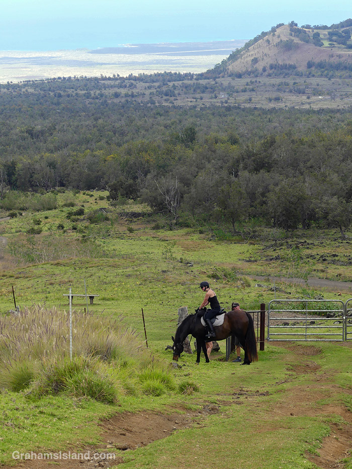 A Horse and rider on Pu'u Wa'awa'a in Hawaii