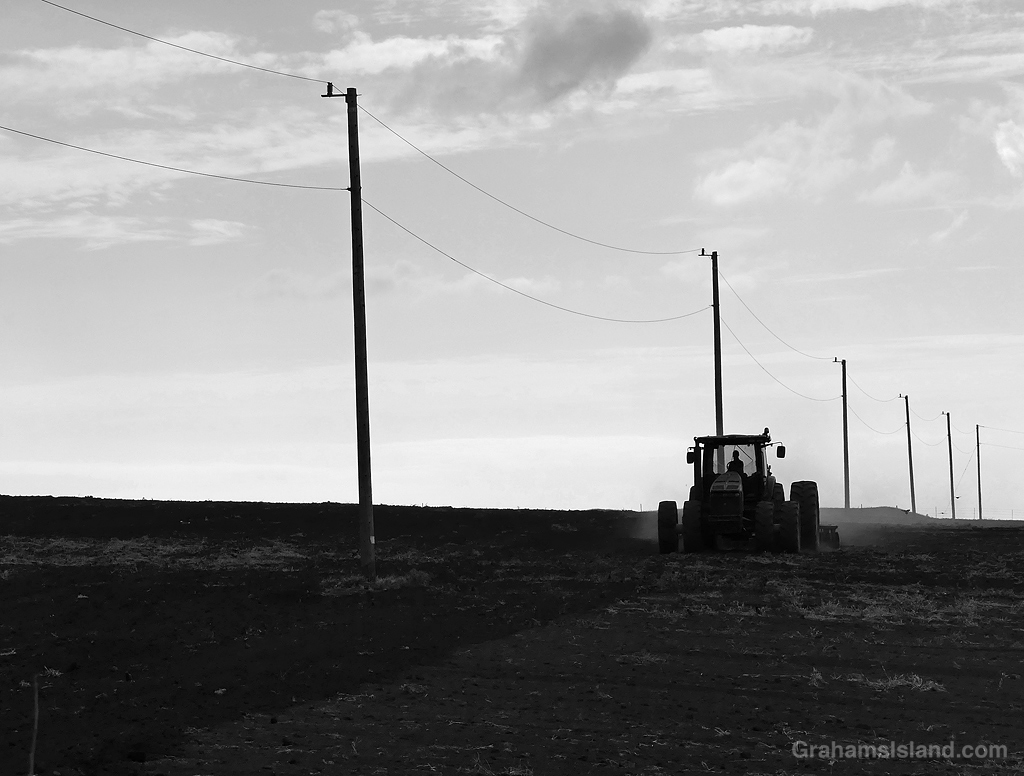 A tractor pulling a harrow in Hawaii
