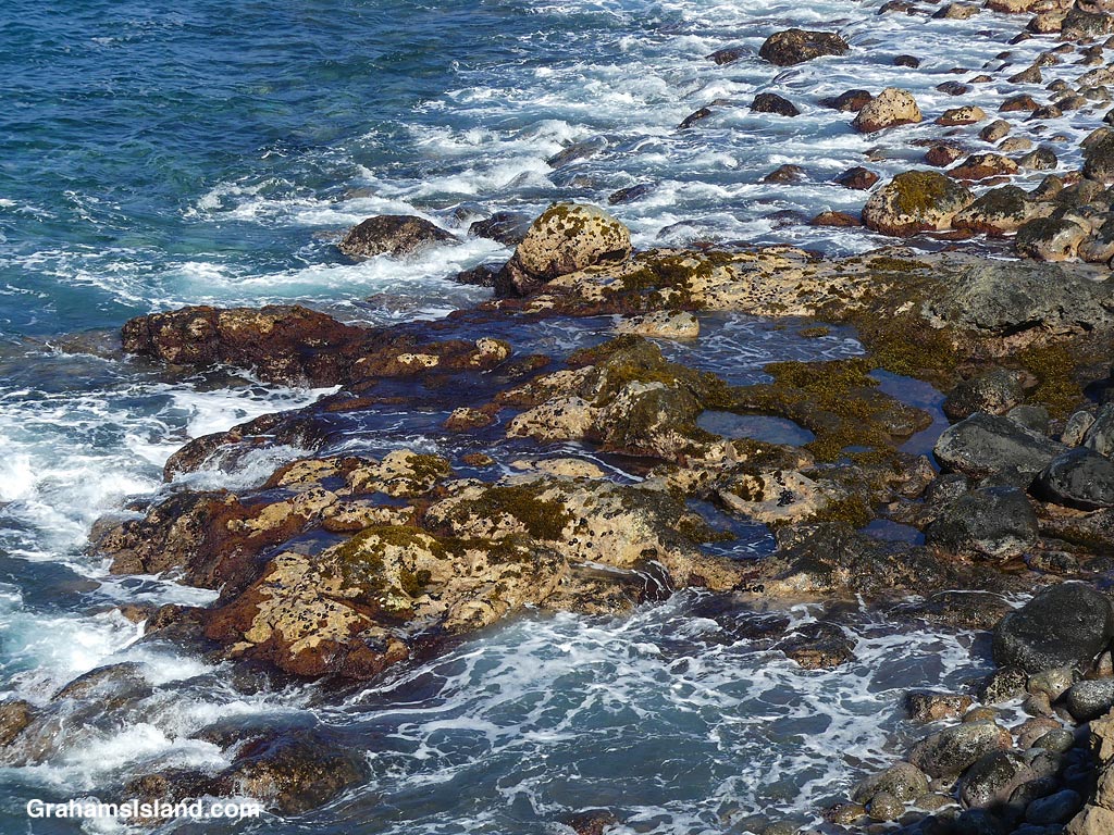 Tide pools on the coast below Upolu in Hawaii